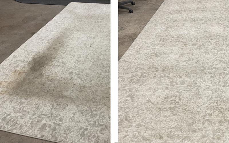 Area Rug Cleaning