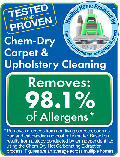Upholstery & Furniture Cleaning